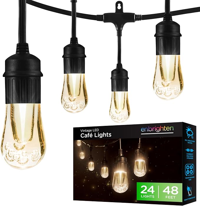 Enbrighten Vintage Outdoor String Lights, 48ft, 24 Bulbs, White Light Only | 2700K Warm White Light, Weatherproof, Shatterproof Acrylic Bulbs, Drop Cord, Easy Install Keyholes, Linkable up to 350ft