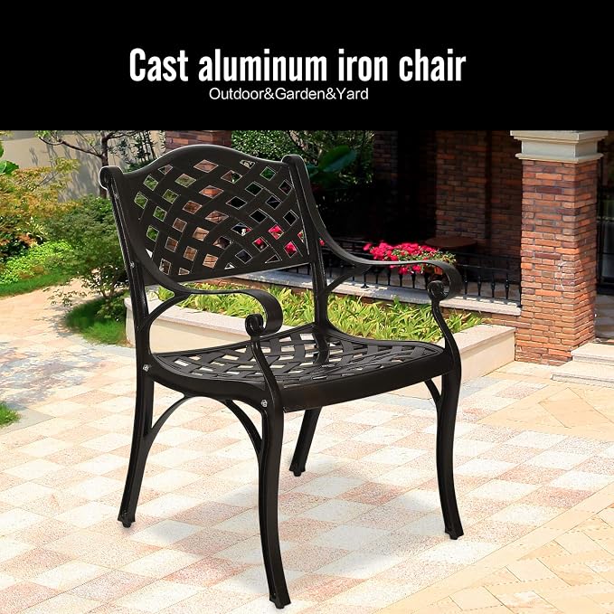 YUSING Outdoor Dining Chairs Set of 2, Cast Aluminum Metal Arm Chairs for Kitchen, Garden, Backyard
