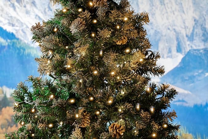Novelty Lights 12-Pack CASE 50ft 100 LED Warm White Christmas Lights Outdoor/Indoor, 6" Spacing, Green Wire String Lights for Festive Xmas Lighting, IP55, UL Listed, Dimmable, Connectable