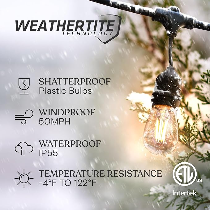 Brightech Ambience Pro - 24 Ft Waterproof LED Outdoor String Lights - Hanging, Dimmable 2w Vintage Edison Bulbs -Commercial Grade Patio Lights Create Cafe Ambience in Your Backyard - 7 Lights, Black