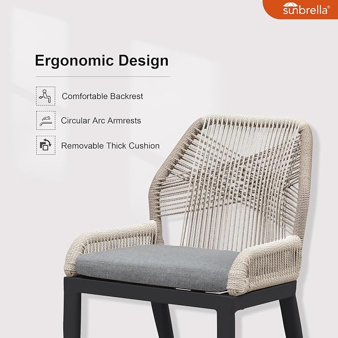 PURPLE LEAF 11 Pieces Patio Dining Set Aluminum Oversize Rectangular Table and Wicker Chairs with Cushions for Kitchen Porch Garden Modern Outdoor Furniture Sets, Beige and Dark Grey