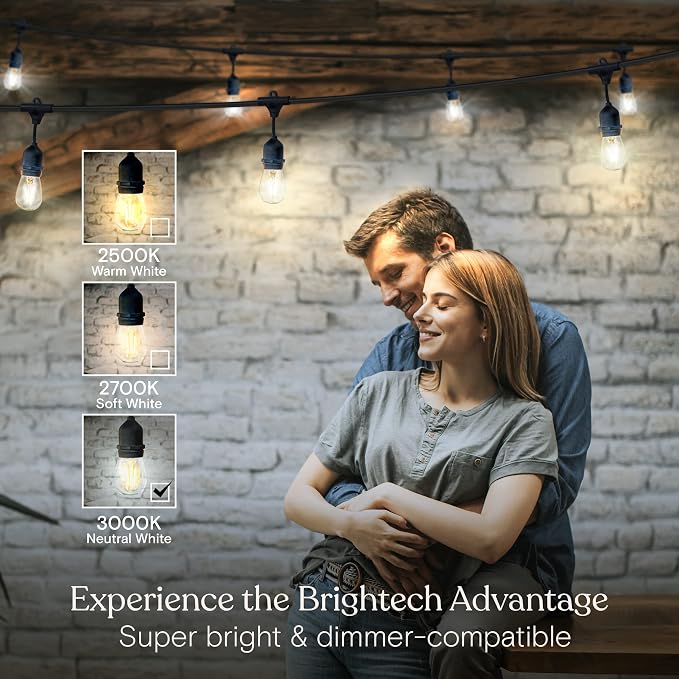 Brightech Ambience Pro - Waterproof LED Outdoor String Lights - Hanging, Dimmable 2W Vintage Edison Bulbs - 48 Ft Commercial Grade Patio Lights Create Cafe Ambience in Your Backyard