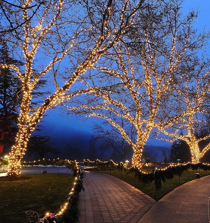 Novelty Lights 50ft Warm White Christmas String Lights, Brown Wire