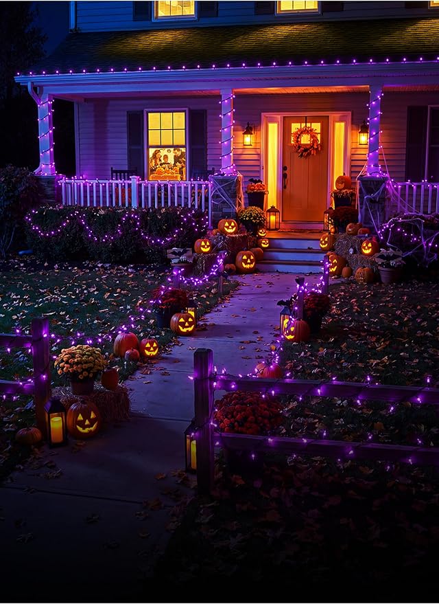 Brightown Purple Halloween Mini Lights, 50 Count 10 Feet Mini String Lights | Incandescent Bulb, Connectable Halloween Light for Haunted House Ghost Party Holiday Window Indoor Outdoor Decoration