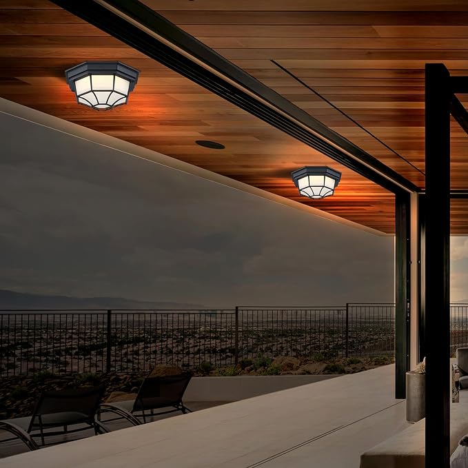 10.5 inch Black Octagonal Outdoor Ceiling Lights LED 2700K 3000K 3500K 4000K 5000K Close to Ceiling Light Farmhouse Spider Web Lamp Black Entry Door Lights,Aluminum Alloy,Glass,17W,120V,850Lm-1050Lm