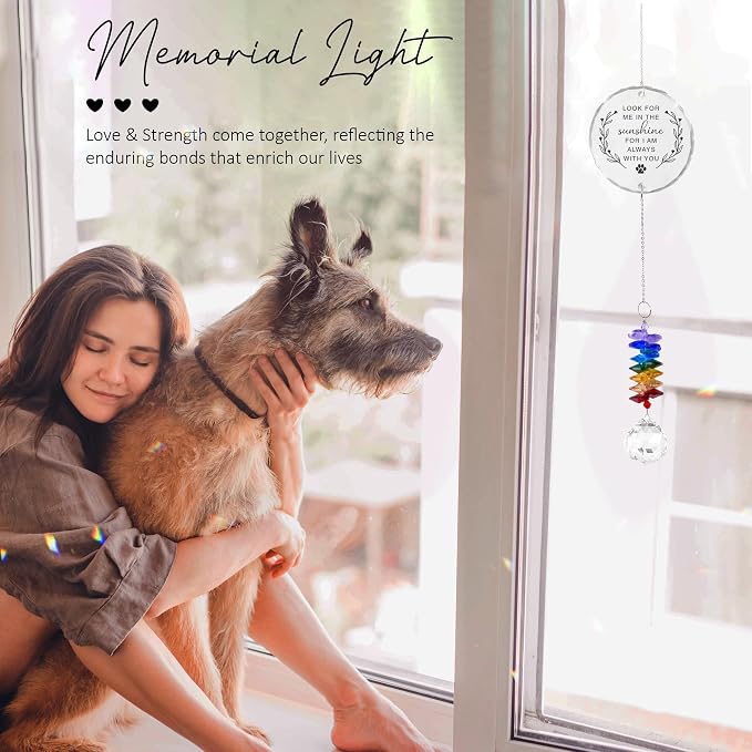 Pet Memorial Suncatcher Look for me in the Sunshine - Dog Memorial Gifts - Pet Loss - Thoughtful Dogs and Cats Remembrance - Pet Sympathy - Crystal Bereavement Gift
