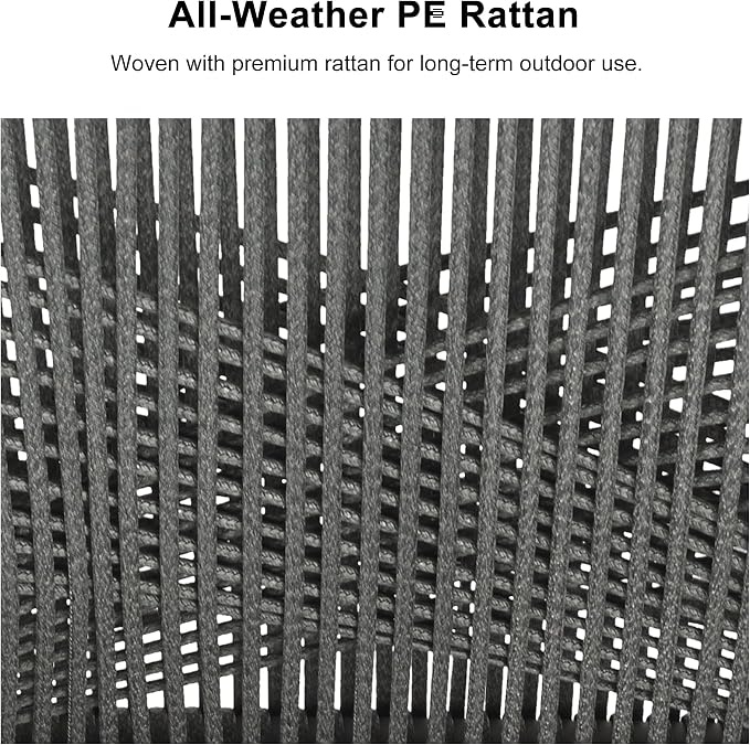 PURPLE LEAF 12 Pieces Outdoor Patio Dining Sets All-Weather PE Rattan Furniture Set with All Aluminum Frame Outdoor Table and Chairs Set for 10 People Lawn Garden Backyard Deck, Grey