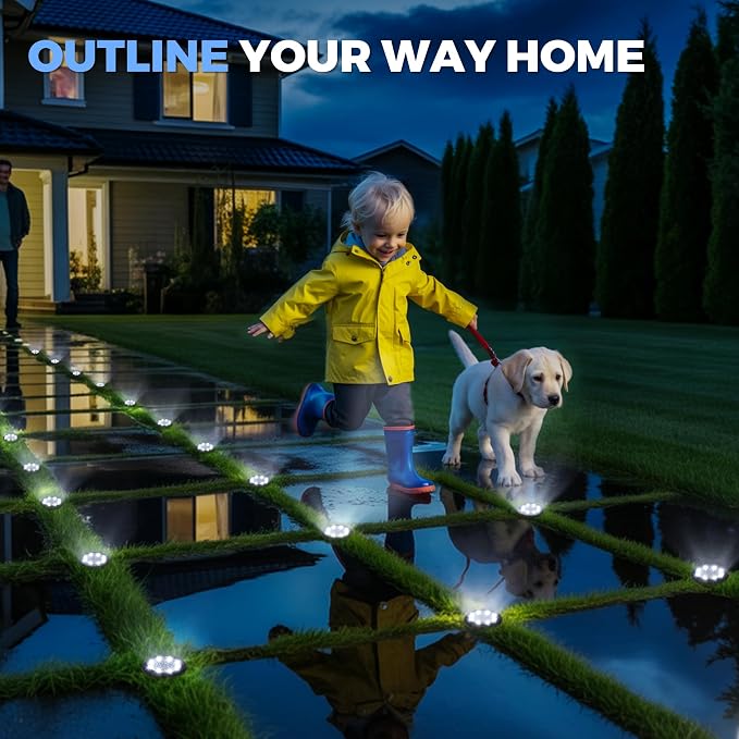 SOLPEX 20 Pack Small Solar Ground Lights, Driveway Lights Cool White | Solar Powered Pathway Lights Waterproof, Landscape Lighting for Walkway, Garden, Backyard, Patio- Black Lampshade