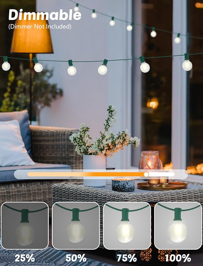 SUNSGNE 25Ft Globe Christmas Lights Outdoor, G40 LED Round Christmas Lights with 27 LED Frosted White Bulbs(2 Spare) for Yard Patio Garden Balcony Bistro Decor, Green Wire