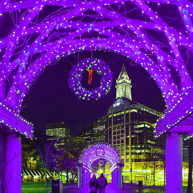 HOME LIGHTING 66ft Halloween Decorative Mini Lights, 200 LED Green Wire Fairy Starry String Lights Plug in, 8 Lighting Modes, for Indoor Outdoor Xmas Tree Wedding Party Decoration (Purple)