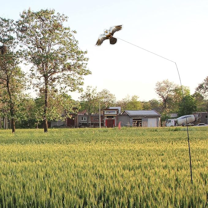 Birds Scaring Hawk Flying Kite Professional Pigeon Scarer only Kite (Brown-White)