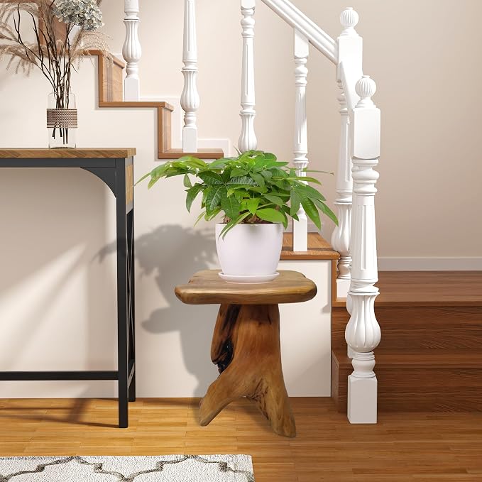 Brefhome 18.9" Tall Cedar Tree Stump Stool, Natural Wood Side Table, Hand-Carved Live Edge End Table, Unique Rustic Plant Stand for Living Room, Patio, Garden