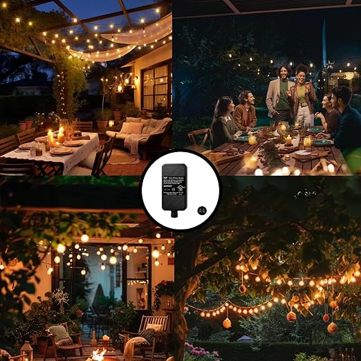 24V Power Supply for Low Voltage Landscape, 24V 1A 24W Outdoor Power Adapter,Permanent Outdoor LED Transformer Replacement-Black