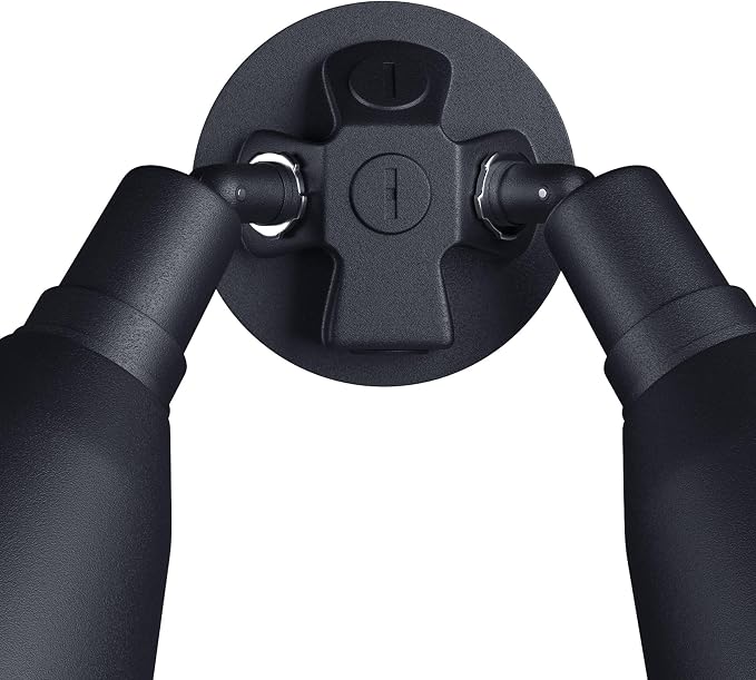 Progress Lighting 2-Light Adjustable Swivel Flood Light, Outdoor, P5203-31, Black