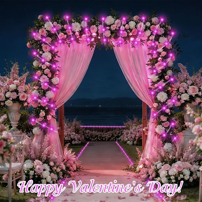 QITONG Pink Solar Rope Lights Outdoor, 66ft 200 LED String Light, 8 Modes Fairy Lights in Clear Thin Tube with 8 Modes