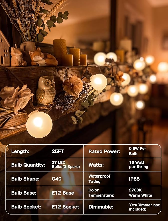 25FT Brown Outdoor String Lights, Shatterproof LED Globe String Lights with 25 G40 LED Frosted White Bulbs, Waterproof Connectable Hanging Light for Backyard Patio Porch Balcony Party Decor, E12 Base