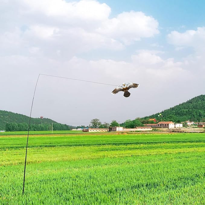 Birds Scaring Hawk Flying Kite Professional Pigeon Scarer only Kite (Brown-White)