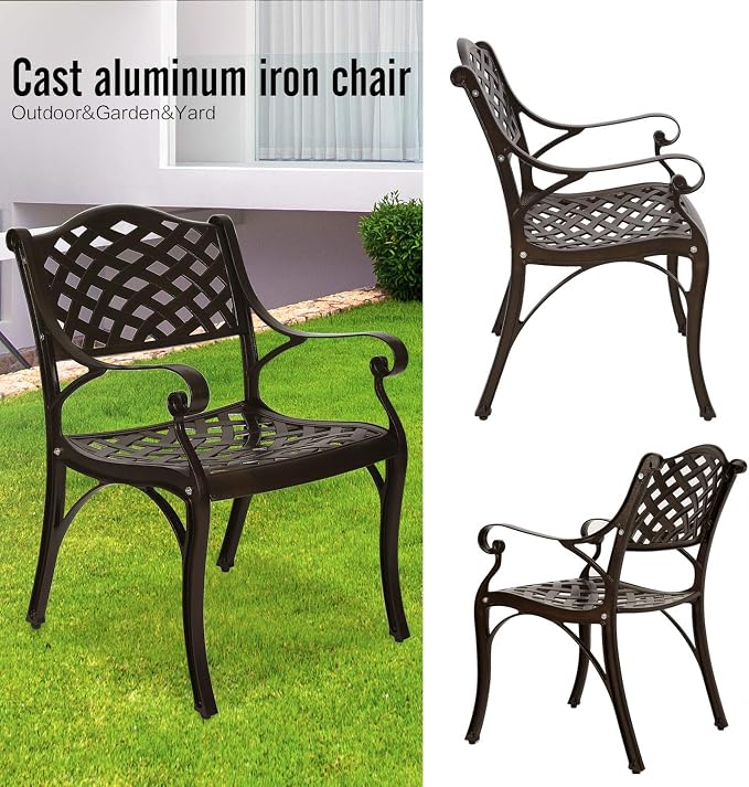 YUSING Outdoor Dining Chairs Set of 2, Cast Aluminum Metal Arm Chairs for Kitchen, Garden, Backyard