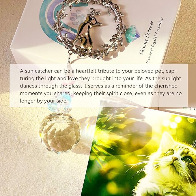 Cat Memorial Gifts for Loss of Cat, Cat Sympathy, Pet Memorial Suncatcher | Thoughtful Cats Remembrance Suncatcher Keepsake, Cat Passing Away Bereavement Memory Gift
