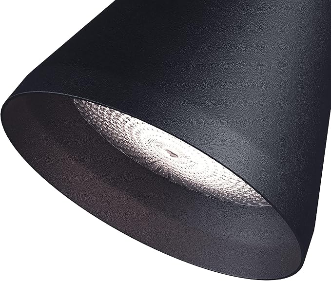 Progress Lighting 2-Light Adjustable Swivel Flood Light, Outdoor, P5203-31, Black