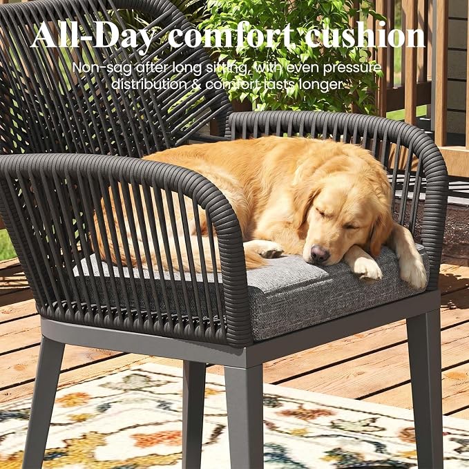 LayinSun Outdoor Dining Set for 10, 12 Pieces Patio Furniture Sets with Aluminum Dining Table and Rope Weave Chairs