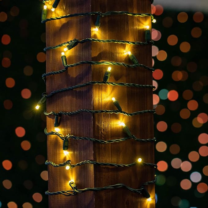 Novelty Lights 12-Pack CASE 50ft 100 LED Warm White Christmas Lights Outdoor/Indoor, 6" Spacing, Green Wire String Lights for Festive Xmas Lighting, IP55, UL Listed, Dimmable, Connectable