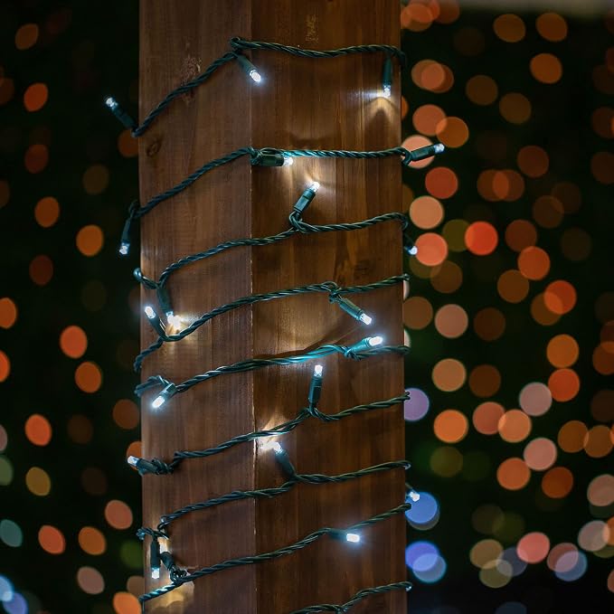 Novelty Lights 12-Pack, 50 Feet 100 LED Pure White Christmas Mini Light String on Green Wire, 5mm Wide Angle Bulbs, Connectable, Indoor/Outdoor Decor, UL Listed