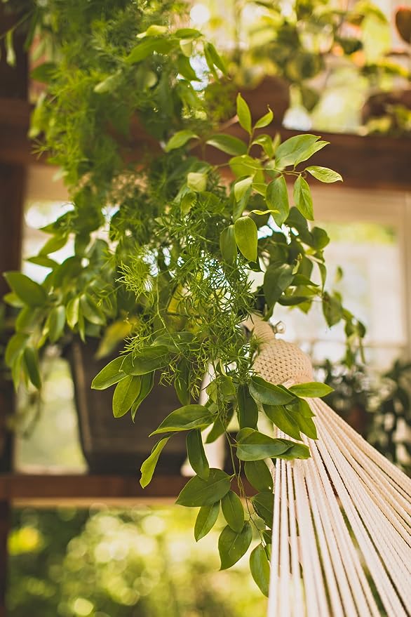 Handwoven Nicaraguan Cotton Hammock with Wooden Bars