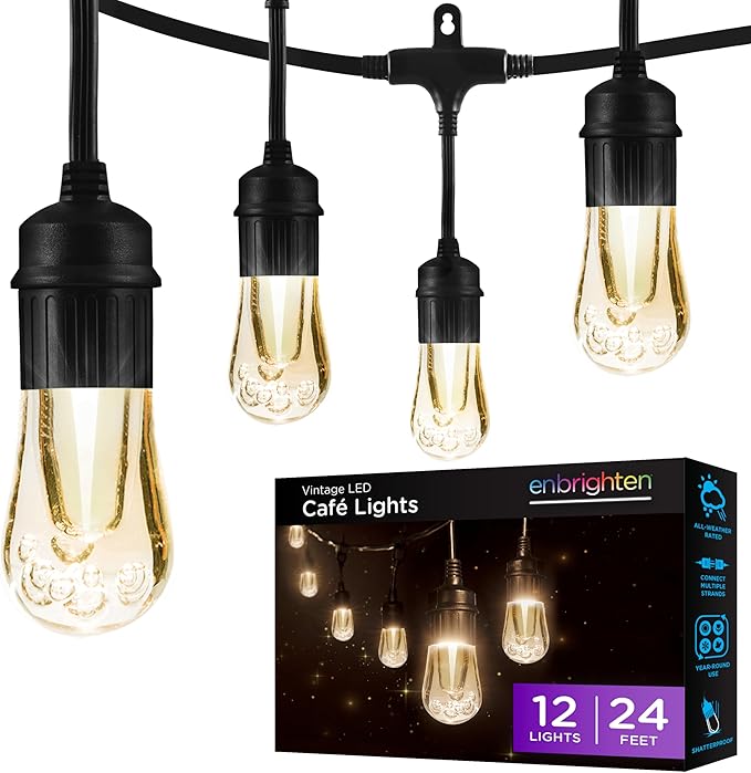 Enbrighten Vintage Outdoor String Lights, 24ft, 12 Bulbs, White Light Only | 2700K Warm White Light, Weatherproof, Shatterproof Acrylic Bulbs, Drop Cord, Easy Install Keyholes, Linkable up to 350ft