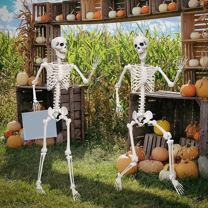 5.9Ft Giant Skeleton Life Size Human Bones with Movable Joints for Halloween Props Decorations