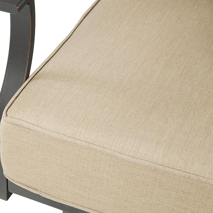 PEAK HOME FURNISHINGS Tamarin Outdoor Swivel Club Lounge Chair in Bronze Aluminum with Ottoman