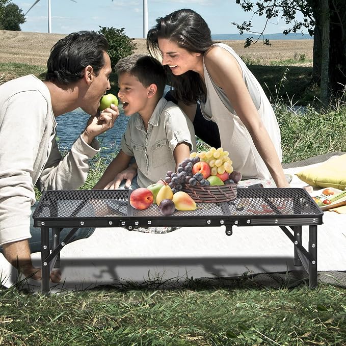RedSwing Tri-fold Folding Picnic Table, Lightweight Height Adjustable Iron Frame Table with Mesh Layer for Outdoor Camping Picnic BBQ, Black