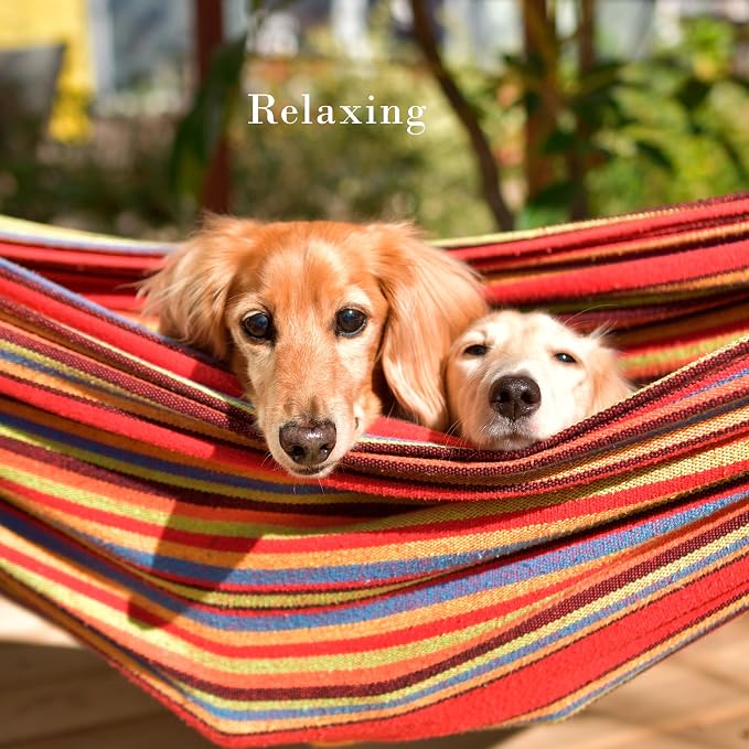 Double Brazilian Hammock with Stand Included ? Woven Cotton, 2-Person, Outdoor Swing with Frame for Camping, Backyard, or Patio by Pure Garden