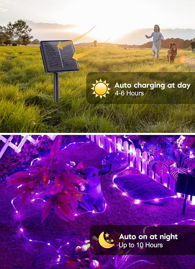 Brightown 39FT 100LED Halloween Solar Rope Lights, Purple | IP65 Solar Fairy Lights with 8 Lighting Modes, Halloween Decoration Outdoor for Party Garden Yard Holiday Tree Decoration