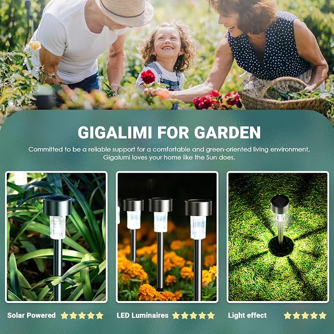 GIGALUMI 16 Pack Solar Lights Outdoor Waterproof,Stainless Steel LED Solar Garden Lights for Patio, Lawn, Yard and Landscape(Cold White) | Solar Pathway Lights, Solar Garden Lights for Patio, Lawn, Yard and Landscape LED (Cold White)